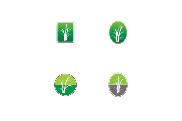 Bamboo Logo: Nature-Inspired Branding Essentials
