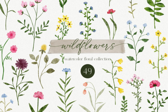 Elevate Your Creative Projects with the Wildflowers Watercolor Collection