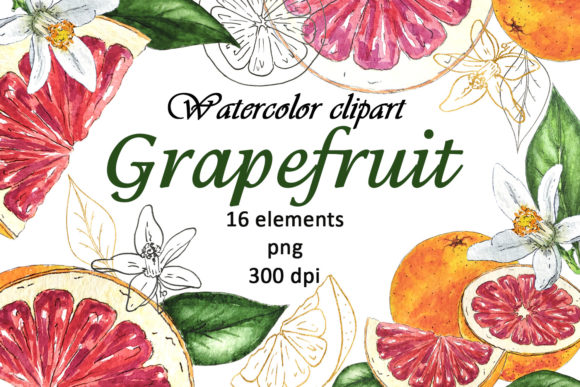 Strategic Design Applications for Watercolor Grapefruit Orange Clipart PNG
