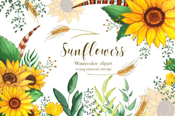 Sunflowers Clipart, Illustration, PNG: A Guide to High-Quality Digital Assets