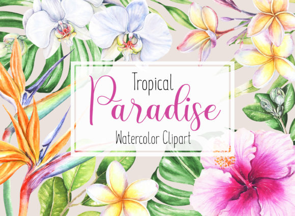 Tropical Flowers Watercolor Clipart Guide