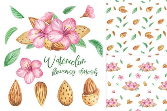 Watercolor Almonds Nuts Clipart Guide